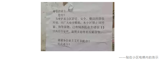 為什么不買保險就不讓養(yǎng)狗？