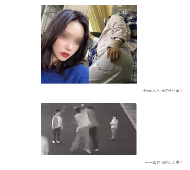 為什么不買保險就不讓養(yǎng)狗？