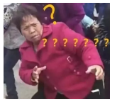 為什么不買保險就不讓養(yǎng)狗？